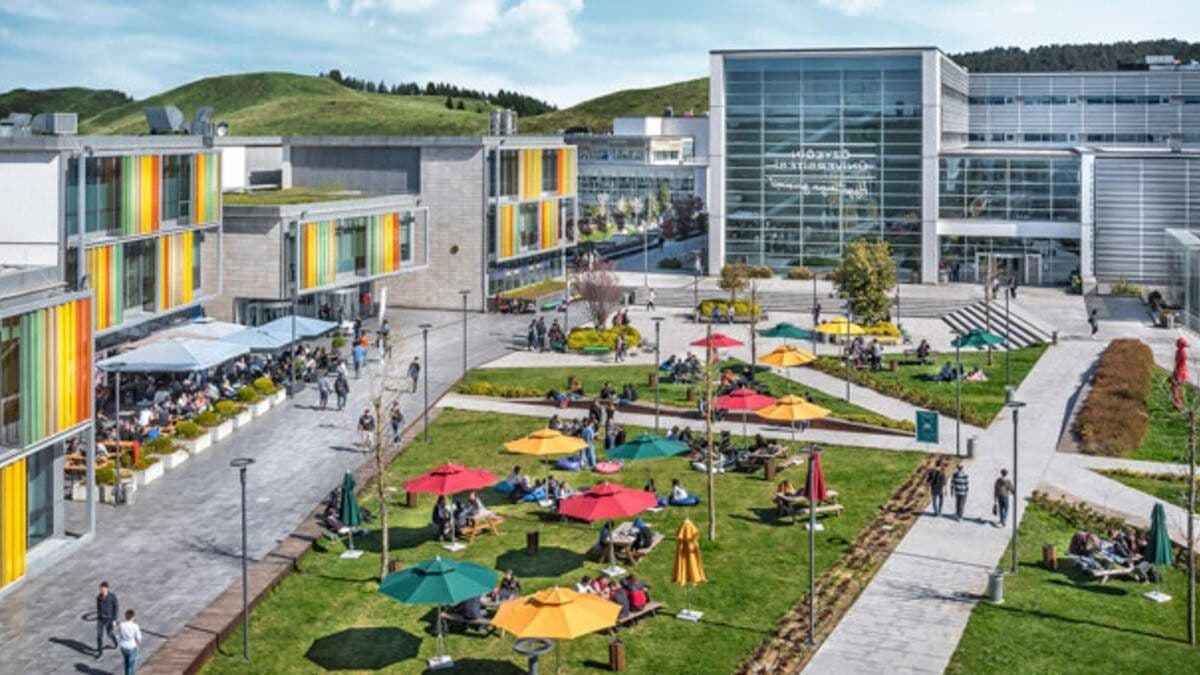 Ozyegin University Programs - Ranking & Tuition Fees جامعة اوزيجين في اسطنبول - رسوم التخصصات - ترتيب الجامعة